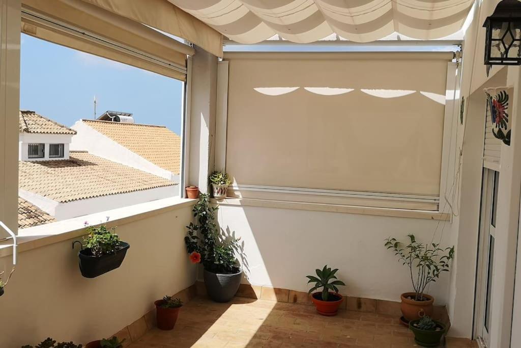 Ideal Conil - Atico - Amplia Terraza - Garaje Кониль-де-ла-Фронтера Экстерьер фото