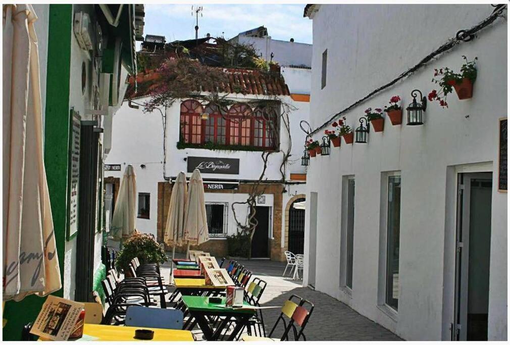 Ideal Conil - Atico - Amplia Terraza - Garaje Кониль-де-ла-Фронтера Экстерьер фото